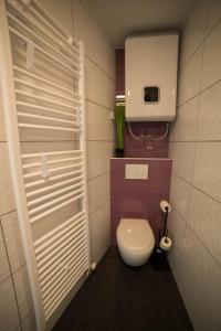 La salle de bains est pourvue de toilettes et d'une porte blanche. dans l'établissement Apartment Andolsek, à Bohinj