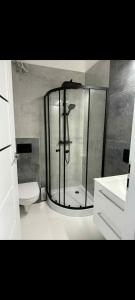 a bathroom with a shower and a toilet at Leśna Przystań in Pojezierze +17 photos