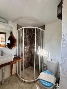 a bathroom with a shower and a toilet and a sink at KiDRAK OTEL MONTENEGRO-1 in Faralya