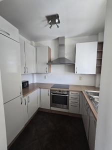 Kuchyň nebo kuchyňský kout v ubytování Tomorrowland Crib in de buurt van Boom