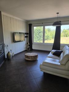 TV a/nebo společenská místnost v ubytování Tomorrowland Crib in de buurt van Boom
