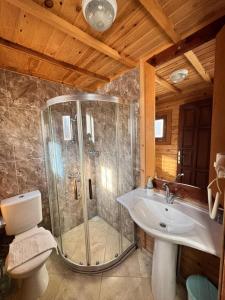 a bathroom with a shower and a toilet and a sink at KiDRAK OTEL MONTENEGRO-1 in Faralya
