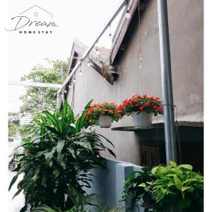 a couple of potted plants on a wall at Homestay Dream in Tuy Hoa