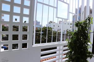 a room with windows and a potted plant at Homestay Dream in Tuy Hoa