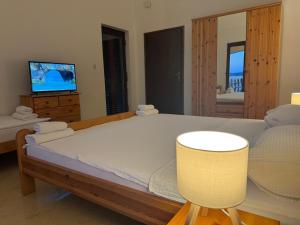 a bedroom with a large bed and a television at Apartments Bernarda 2 in Nin