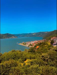 Ảnh trong thư viện ảnh của B&B Jonovic ở Donji Milanovac