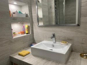 Koupelna v ubytování Appartement lumineux et convivial à partager