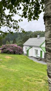 a white house with a green roof and flowers at Birdbox Bergen in Bergen
