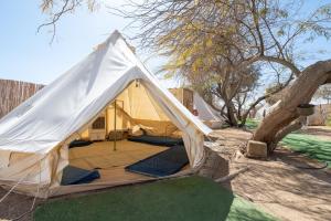 a tent in a yard next to a tree at Desert HoM by GLOW in Naẖal Shittim