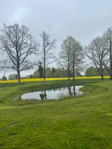 a pond in a field with trees and yellow flowers at Holiday house Mežmuiža in Rucava +3 photos