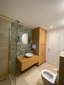 a bathroom with a sink and a shower and a toilet at Boka Bliss in Kravlja
