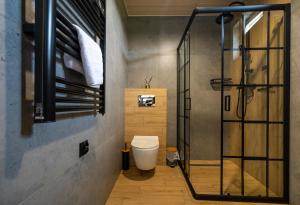 a bathroom with a toilet and a shower at Porzeczkowe domki in Darłowo