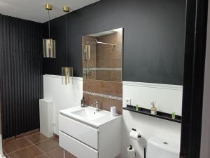 a bathroom with a sink and a shower and a mirror at Cocon romantique avec jacuzzi extérieur in Rosières-près-Troyes +12 photos