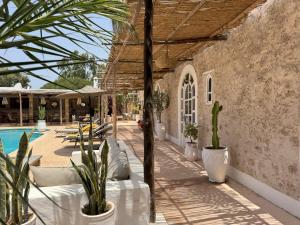 Bazén v ubytování Riad Eucalyptus, Ethnic Hotel nebo v jeho okolí