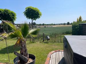 a palm tree in a pot in a yard at Landliebe, Ferienhaus, 3 Schlafzimmer mit Sauna und Outdoor Whirlpool in Geierswalde