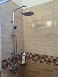 a shower with a shower head in a bathroom at Dió Apartman in Hajdúszoboszló