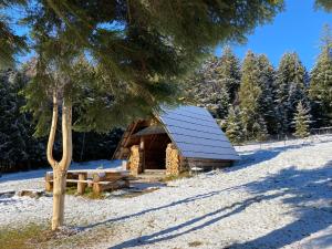 a log cabin in the snow next to a tree at Noclegi Pod Lasem in Zubrzyca Górna +6 photos