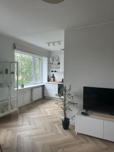 a living room with a flat screen tv and a wooden floor at Composer's apartment in Tallinn