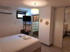 a bedroom with a bed and a tv and a mirror at Pacific Green-80M2-Clime-2 big Suites-Parking privé 2 cars-Jardin-Confort in Chalifert