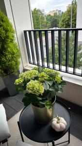 Balkón alebo terasa v ubytovaní Apartament Pastelowa Portova