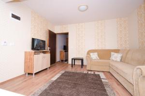 - un salon avec un canapé et une télévision dans l'établissement Camere-Apartament Steyna, à Alba Iulia