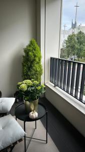 Balkón alebo terasa v ubytovaní Apartament Pastelowa Portova