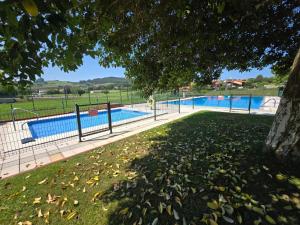 a swimming pool in a park with a tree at VerdeAgua Cantabria con Piscina in Ajo