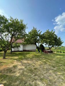 Zahrada ubytování Cosy country home, Lendava
