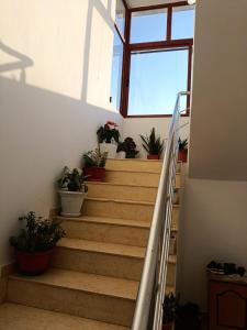 Fotografie z fotogalerie ubytování Villa Daka v destinaci Divjakë