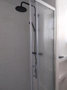 eine Dusche mit Glastür im Badezimmer in der Unterkunft Le Figuier in Le Mans