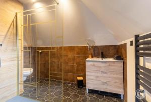 a bathroom with a shower and a sink and a toilet at Villa Malinat entre Val d'Azun et Vallée des Gaves in Arcizans-Avant +48 photos