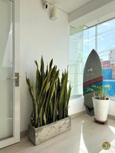 a surfboard sitting next to a potted plant in a room at Hospedaje Pimentel in Pimentel