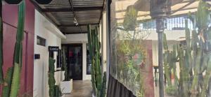 Fotografie z fotogalerie ubytování Coyote Lofts-Estacion Federal v destinaci Tijuana