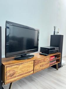 a flat screen tv sitting on top of a wooden entertainment center at Tiny House avec terrasse privée, 10 mins du centre in Brussels +19 photos