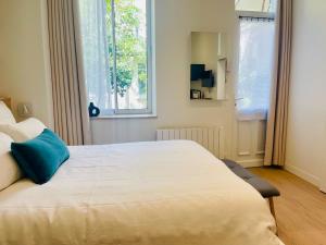 a bedroom with a large bed with a blue pillow on it at Studio Calme Coeur Historique in Tours