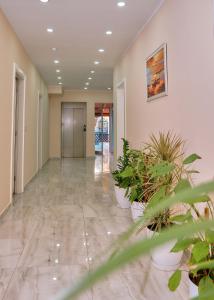 Ảnh trong thư viện ảnh của Hotel Center Park ở Velipojë