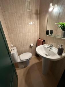 a bathroom with a toilet and a sink at Piso reformado centro de Oviedo in Oviedo