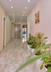 Ảnh trong thư viện ảnh của Hotel Center Park ở Velipojë