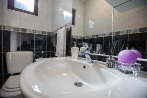 a bathroom with a sink and a toilet and a mirror at Lumaris in Ogulin +75 photos