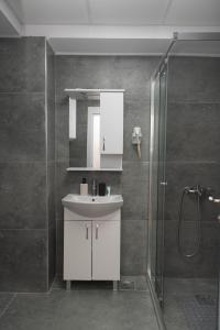 a bathroom with a white sink and a shower at Milenkovic Apartments in Gevgelija