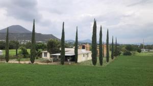 a house with a row of cypress trees in a field at Hospedaje familiar Los Arcos in El Tepé