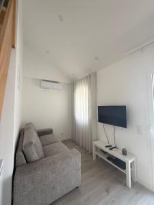Una sala de estar con un sofá y un televisor de pantalla plana. en Casa do Leme, en Nazaré