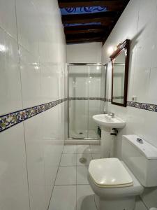 a white bathroom with a toilet and a sink at Casa Alba in Alcalá de Henares