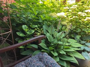 Giardino di Strandwind