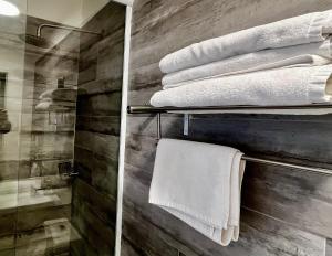 une salle de bain avec douche et serviettes sur une étagère dans l'établissement Living Vaisse, à Santiago 59 autres photos