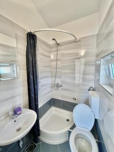 a bathroom with a white toilet and a sink at Apartments by the sea Povlja, Brac - 21810 in Povlja