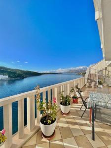 a balcony with potted plants and a view of the water at Apartments by the sea Povlja, Brac - 21810 in Povlja
