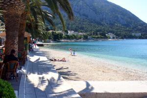 a beach with palm trees and people laying on the beach at Seaside holiday house Gradac, Makarska - 24759 in Gradac +6 photos