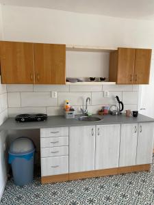 Fotografie z fotogalerie ubytování Prostorný apartmán Litomyšl, blízko centra, s parkováním 