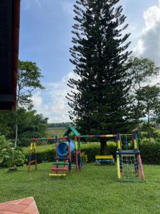 a group of playground equipment in the grass next to a tree at Casa campestre con encanto in Armenia